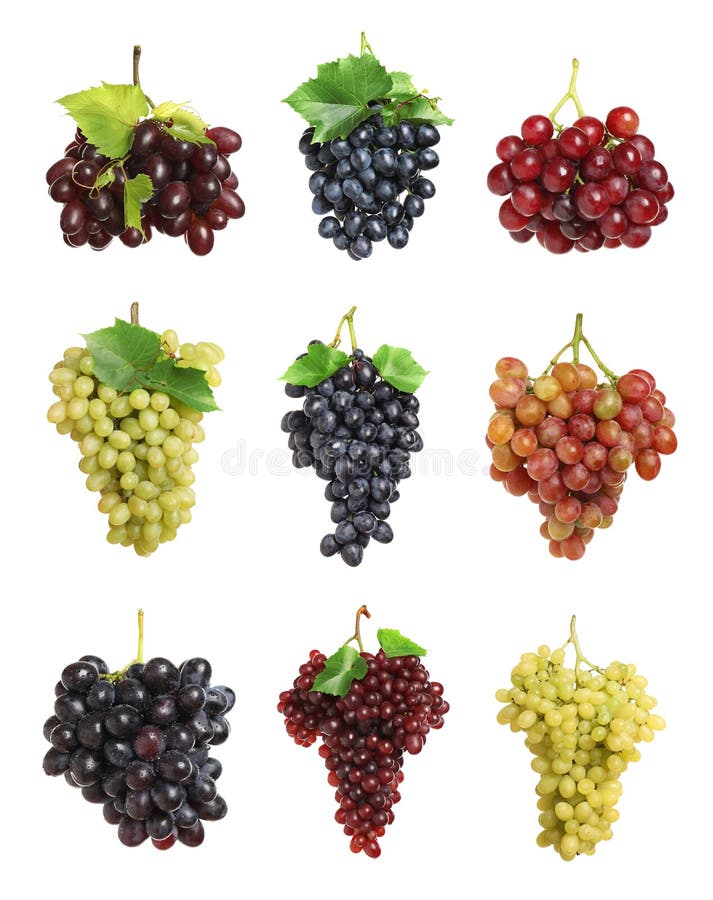 Set of Fresh Grapes on White Background Stock Image - Image of collage ...