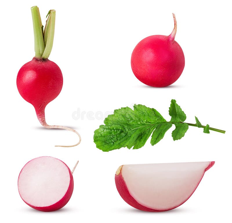 Set fresh red radish whole, cut in half, slice with leaf