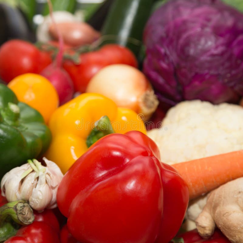 Set of Fresh Vegetables and Herbs on a Metal Table of Restaurant Stock