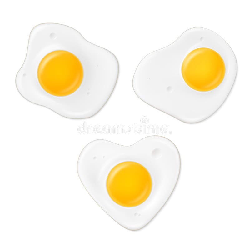 fried-egg-nutrition-facts-fried-egg-with-information-fried-egg-vector-stock-vector