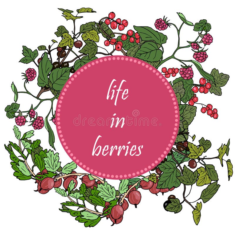 Set of garden berries and green twigs in circle badge, blackberry, raspberry, red currant, gooseberry. royalty free illustration Set of garden berries and green twigs in circle badge, blackberry, raspberry, red currant, gooseberry. royalty free illustration