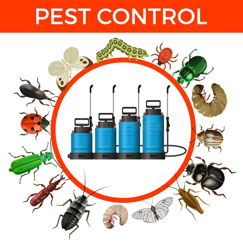 Commercial Pest Control In Reno