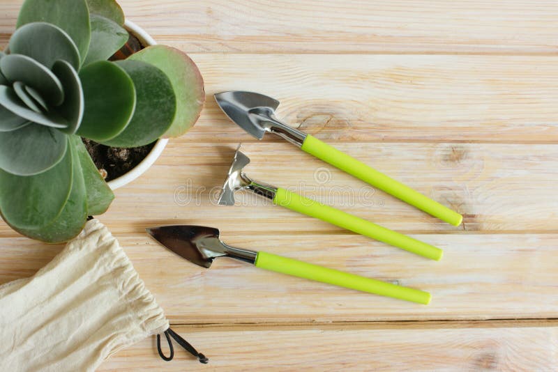 Set of Garden Tools for Planting Flowers. Stock Photo - Image of ...