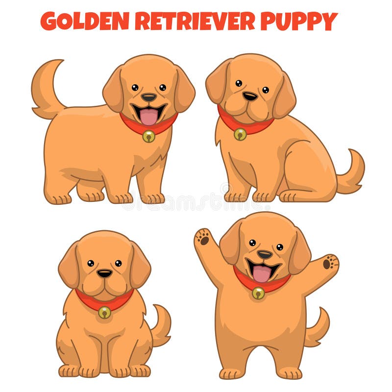 golden retriever puppy clipart