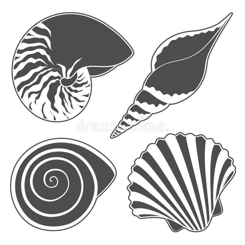 https://thumbs.dreamstime.com/b/set-graphic-sea-shells-objects-vector-illustration-69957988.jpg