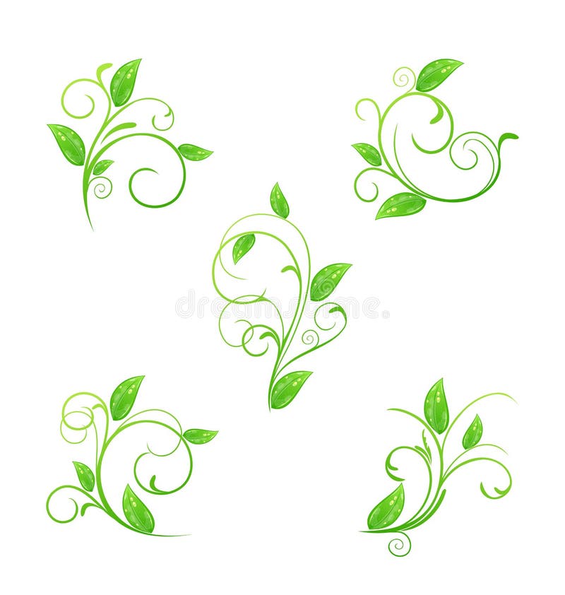 Set green floral elements with eco leaves isolated royalty free illustration