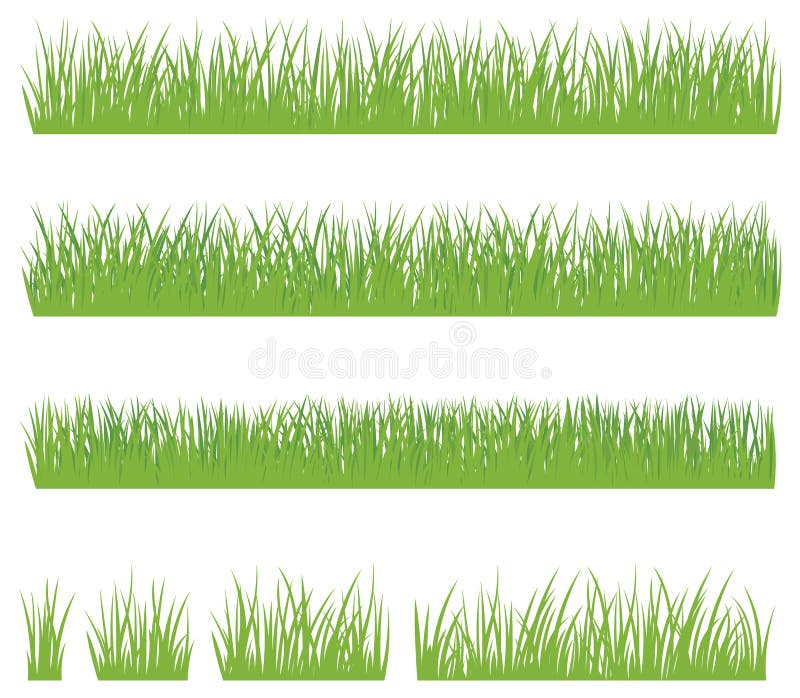 Set of green grass isolated on white background