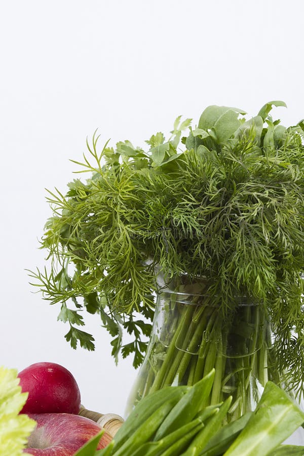 Set of green herbs stock image. Image of ingredients 181229605