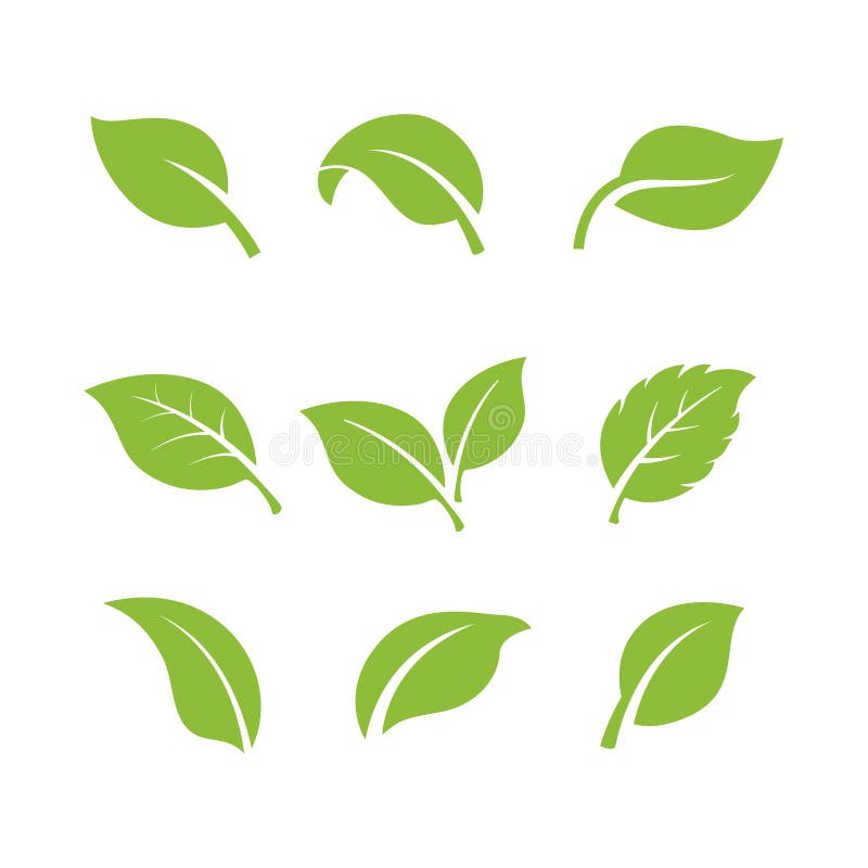 Set of Green Leaves Element Vector Icon. Green Leaf Vector Symbol