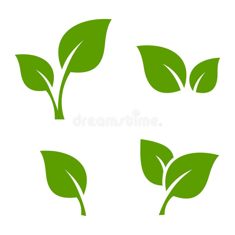 My Image 24