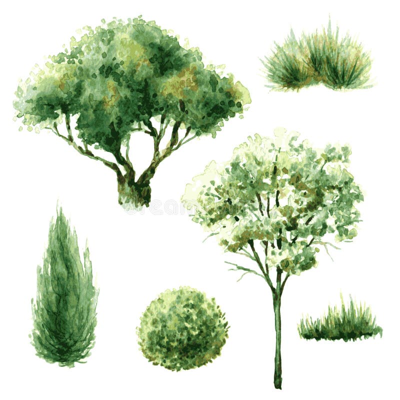 Set of green trees and bushes. stock illustration Set of green trees and bushes. stock illustration