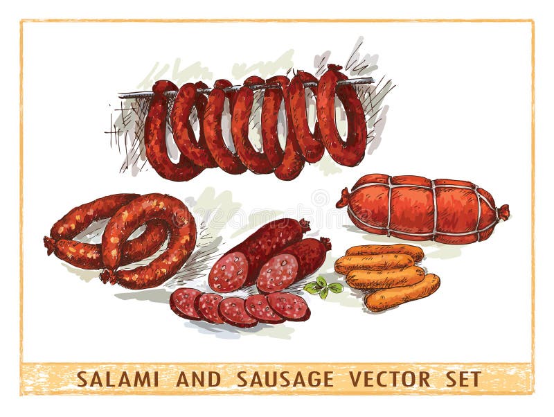 Set of Hand Drawing Sausage Stock Vector Illustration of ingredients