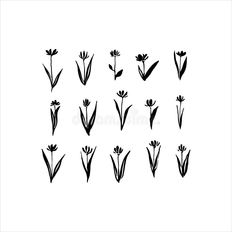 Set of hand drawn abstract modern flowers painted by ink. Grunge style brush painting vector silhouettes. Black isolated blossom