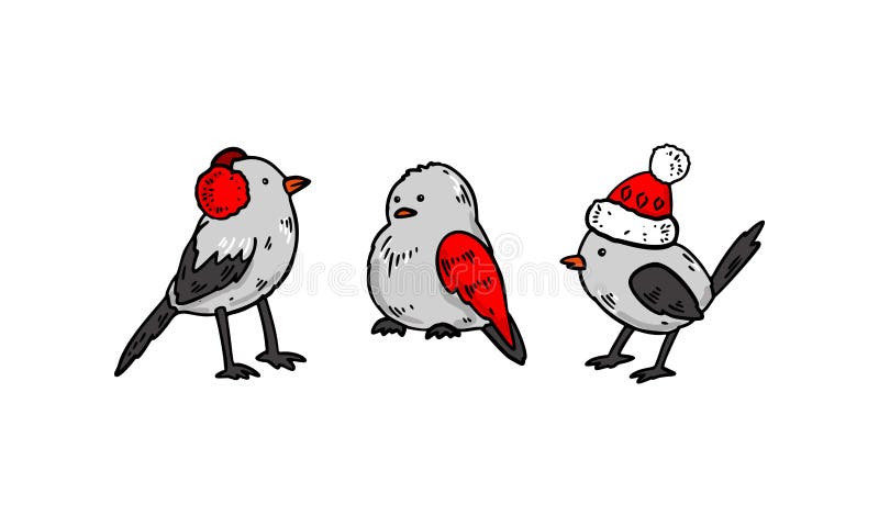 Set of hand drawn birds in winter Christmas style. Vector illustration