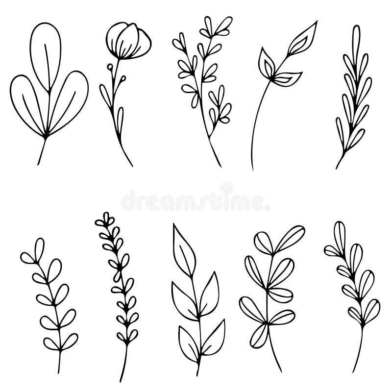 Set of Hand drawn doodle vector leaves and branches. Floral, plant elements