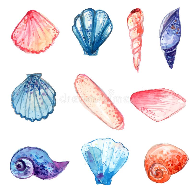 Set of hand drawn watercolor sea shells. Colorful vector illustrations isolated on white background.