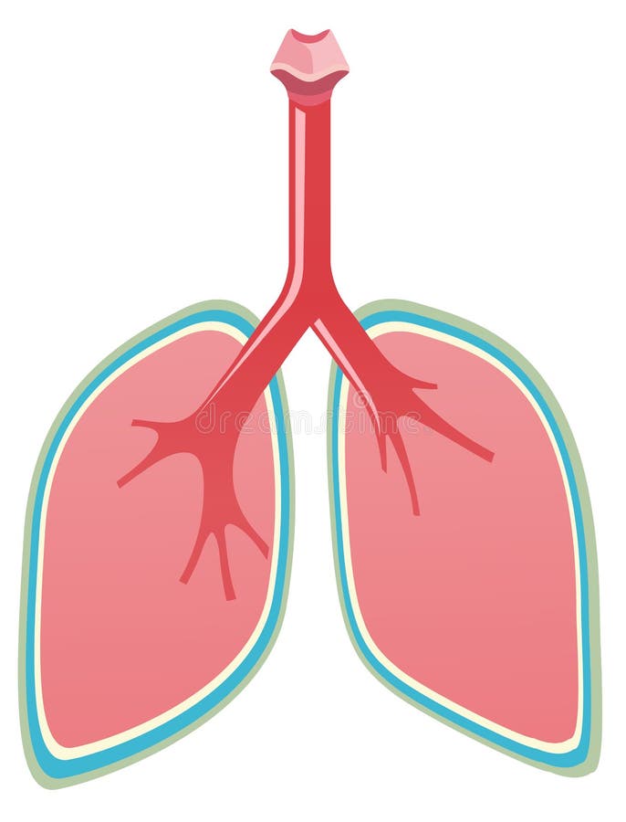 Healthy Lungs Character, Conceptual Vector Illustration ...