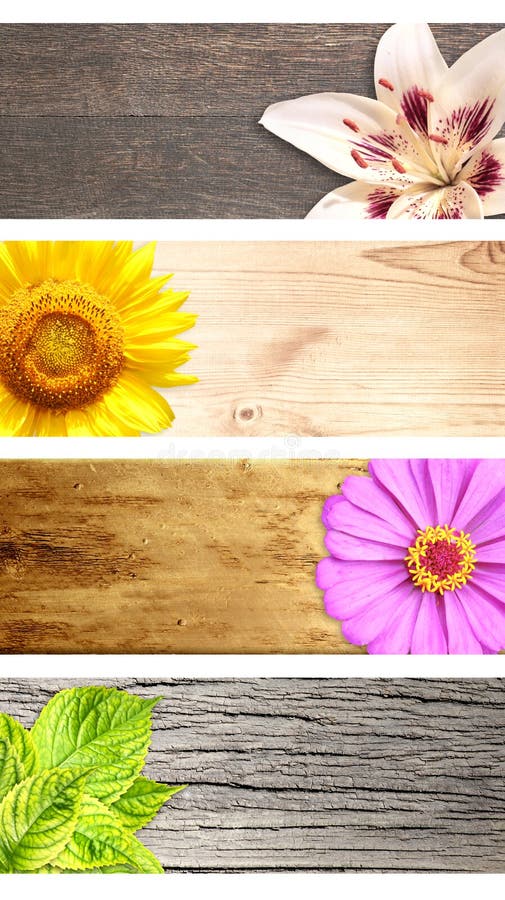 751 766 Horizontal Summer Photos Free Royalty Free Stock Photos From Dreamstime 751 766 Horizontal Summer Photos Free Royalty Free Stock Photos From Dreamstime