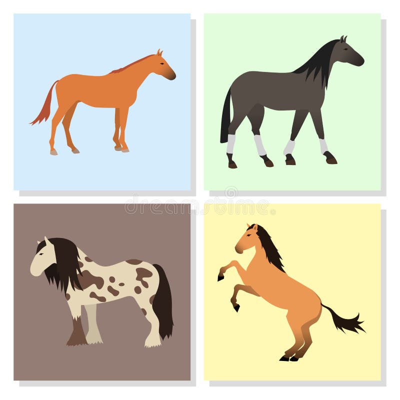 Horse Pony Stallion Isolated Different Breeds Color Farm Equestrian Animal  Characters Vector Illustration. Stock Vector - Illustration of graphic,  horse: 101541622