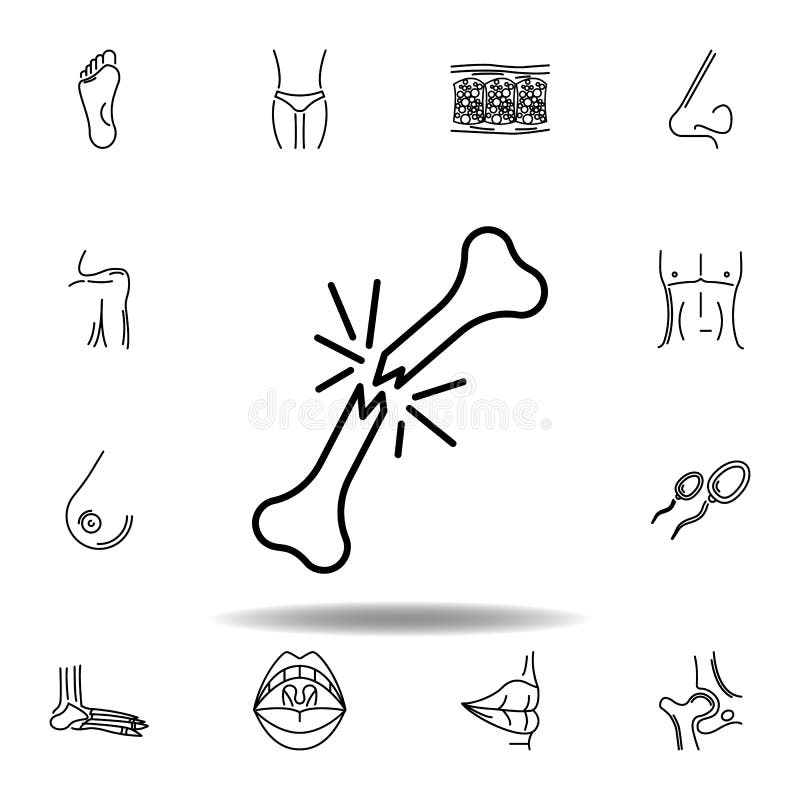 set of human organs broken bone outline icon. Signs and symbols can be used for web, logo, mobile app, UI, UX stock illustration set of human organs broken bone outline icon. Signs and symbols can be used for web, logo, mobile app, UI, UX stock illustration