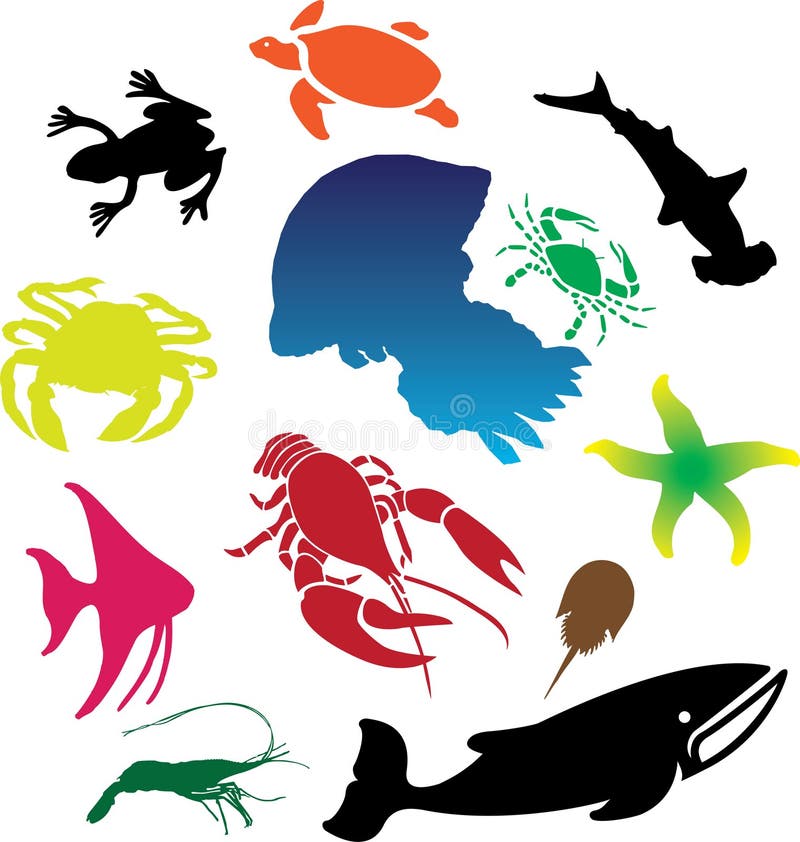 Set icons - 111C. Fish. Fish and other marine animals for your design. Tropical animal icons vectors