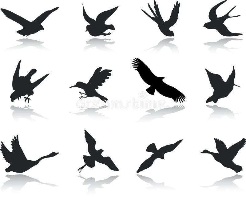 Set icons - 13. Birds. Set of twelve vector icons. Tropical animal icons vectors