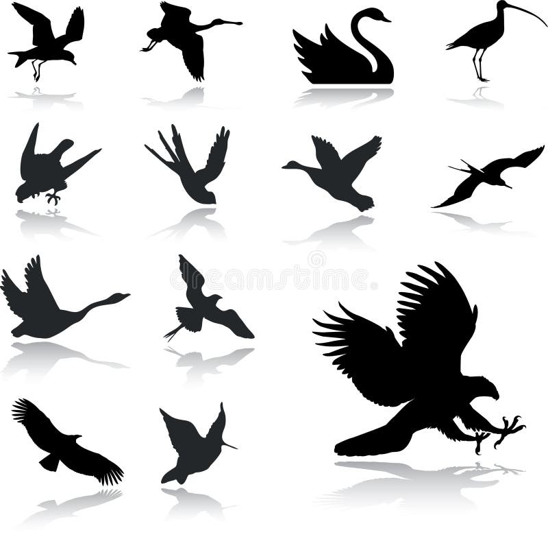 Set icons - 27. Birds. Set of twelve vector icons. Tropical animal icons vectors