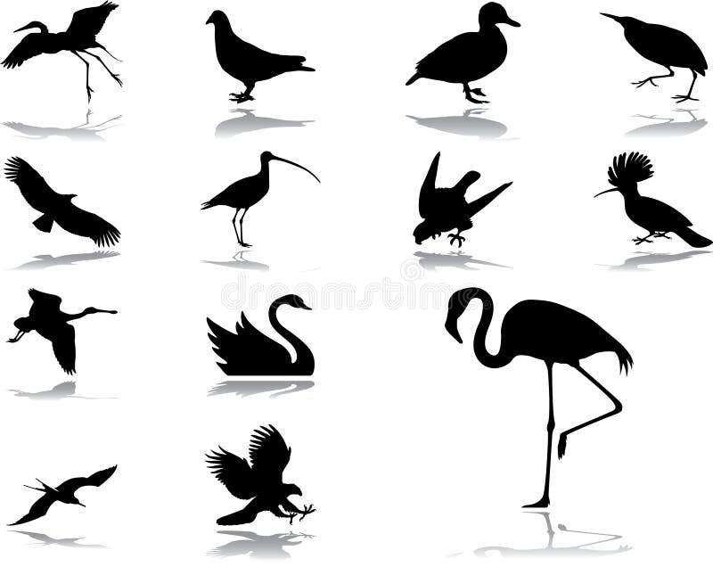 Birds silhouettes stock vector. Illustration of blackbird - 7837806
