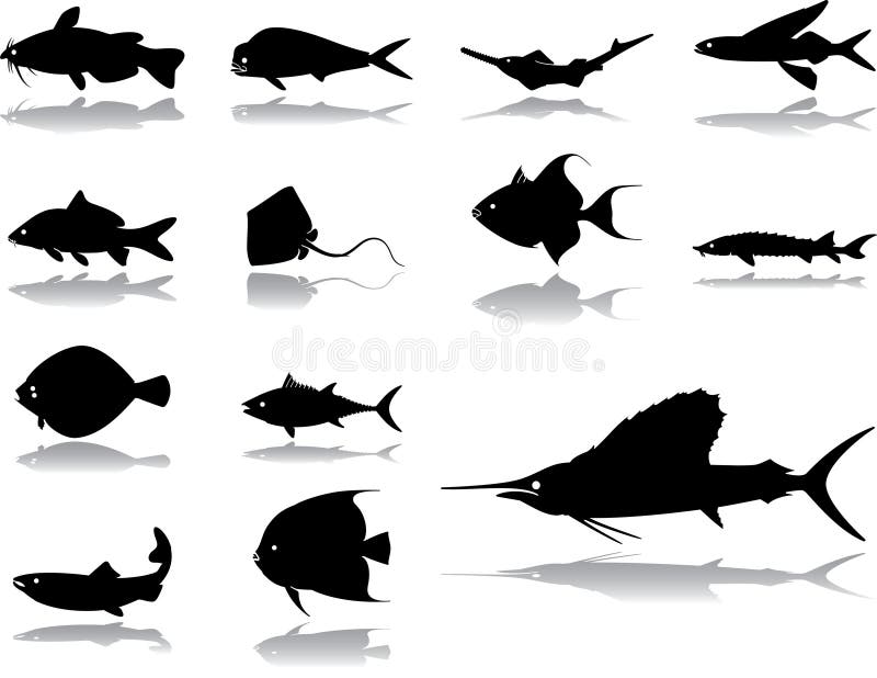Set icons - 42. Fishes. Set of 13 vector icons for web. Tropical animal icons vectors