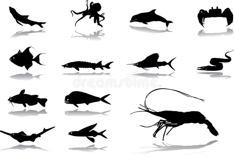 Set icons - 64. Fish. Set of 13 vector icons for web. Tropical animal icons vectors