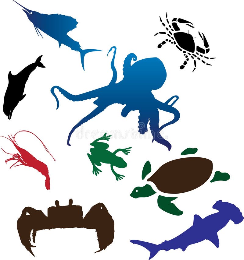 Set icons - 89C. Fish. Fish and other marine animals for your design. Tropical animal icons vectors