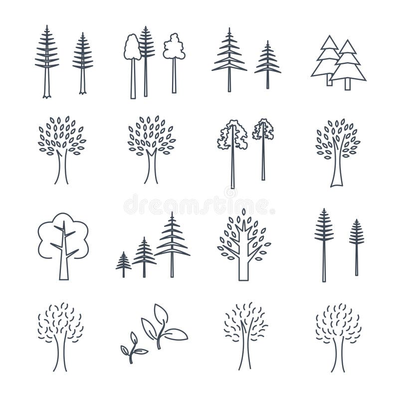 Set of thin line icons pine and deciduous trees. Set of thin line icons pine and deciduous trees