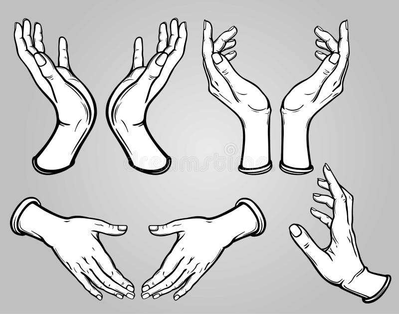 pic Hands Poses Vector set of images of human hands in