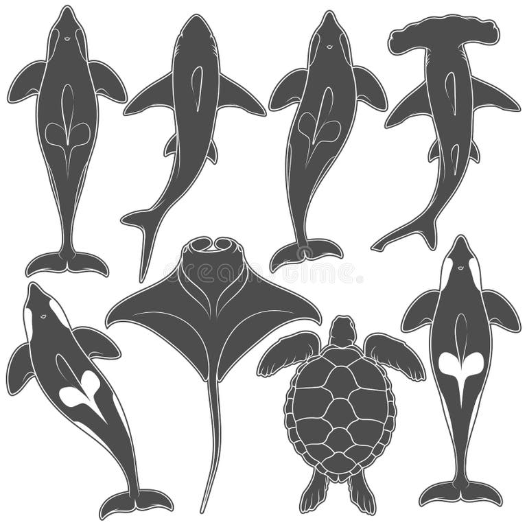 Marine Animals Black White Stock Illustrations – 3,983 Marine Animals