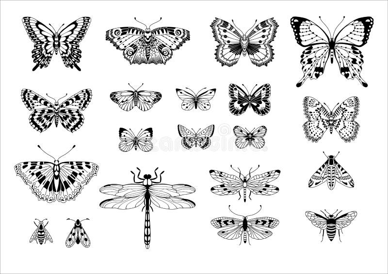 Set of black-white isolated vector clip illustrations of different insects against a white background. vector illustration