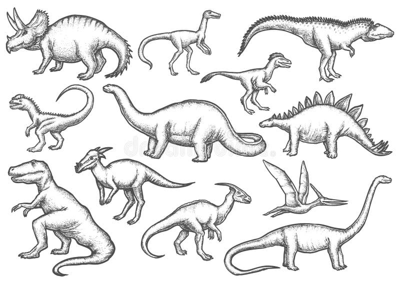 Set of Isolated Dinosaur Sketches. Dino Sketching Stock Vector -  Illustration of deinonychosauria, draw: 209525164
