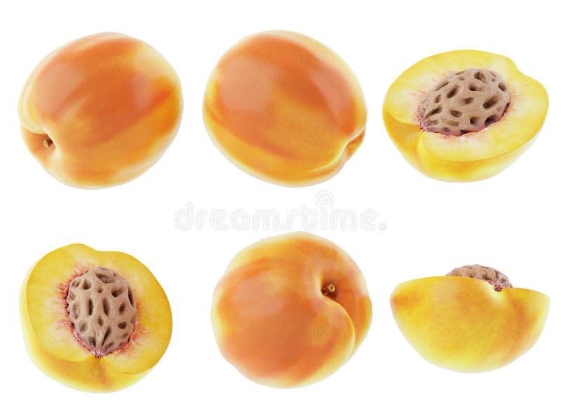 Set isolated fresh peach fruits on white background. royalty free stock photography Set isolated fresh peach fruits on white background. royalty free stock photography