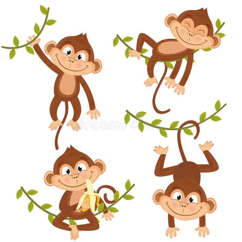 Set of isolated monkey hanging on vine