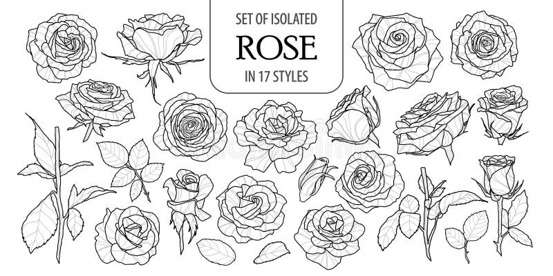 Set of isolated rose in 17 styles. Cute flower illustration in hand drawn style. royalty free illustration Set of isolated rose in 17 styles. Cute flower illustration in hand drawn style. royalty free illustration