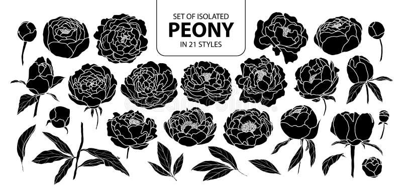 Set of isolated silhouette peony in 21 styles. Cute hand drawn flower vector illustration in white outline and black plane.