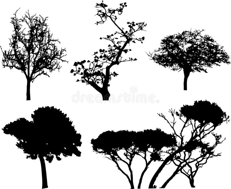 Set isolated trees - 9 stock illustration