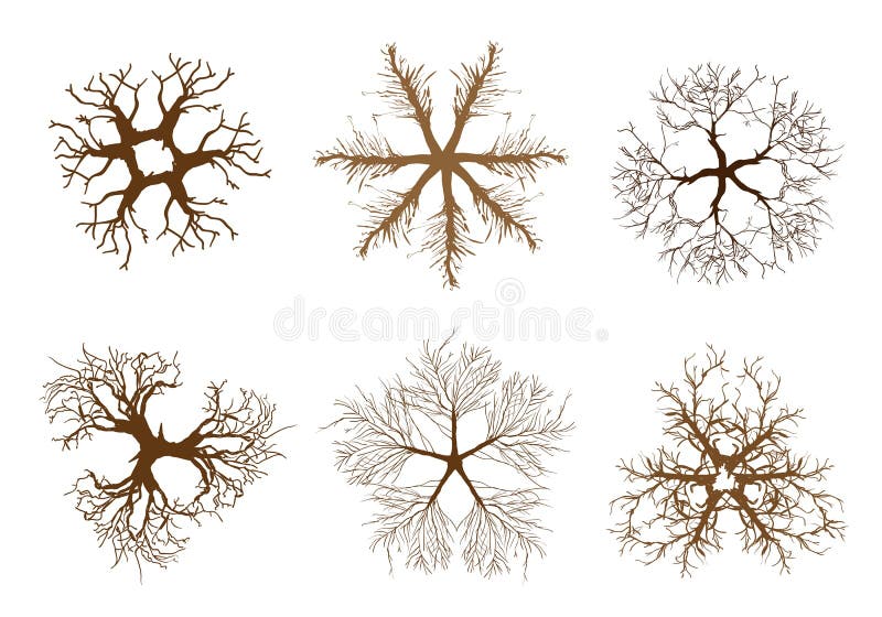 A Set of Isometric Brown Trees and Plants royalty free illustration A Set of Isometric Brown Trees and Plants royalty free illustration