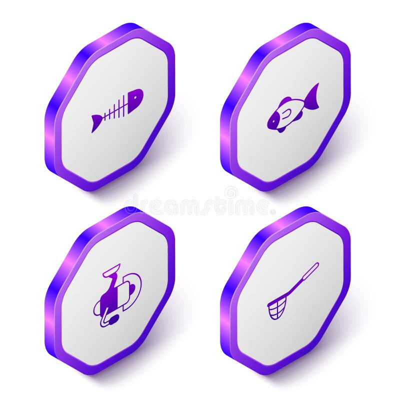 https://thumbs.dreamstime.com/b/set-isometric-fish-skeleton-spinning-reel-fishing-net-icon-purple-hexagon-button-vector-260521137.jpg