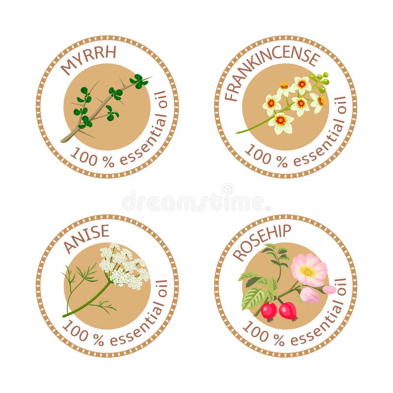 Set istotnych olejów etykietki Mira, frankincense, anyż, rosehip royalty ilustracja Set istotnych olejów etykietki Mira, frankincense, anyż, rosehip royalty ilustracja