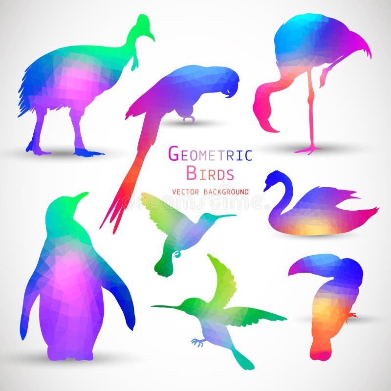 Set Kolorowi Geometryczni sylwetka ptaki ilustracja wektor