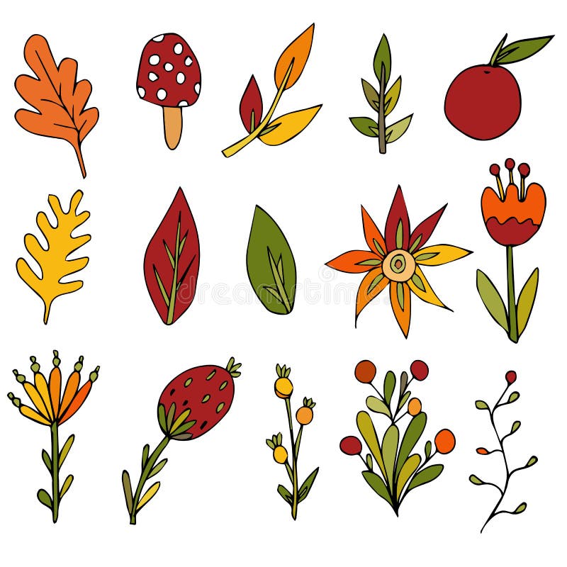 Set kwiaty, rozgałęzia się i opuszcza Jesieni dekoracyjne ilustracje na odosobnionym białym tle Element dla projekta ilustracji Set kwiaty, rozgałęzia się i opuszcza Jesieni dekoracyjne ilustracje na odosobnionym białym tle Element dla projekta ilustracji