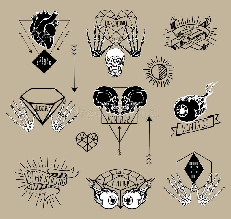 Human skeleton and labels