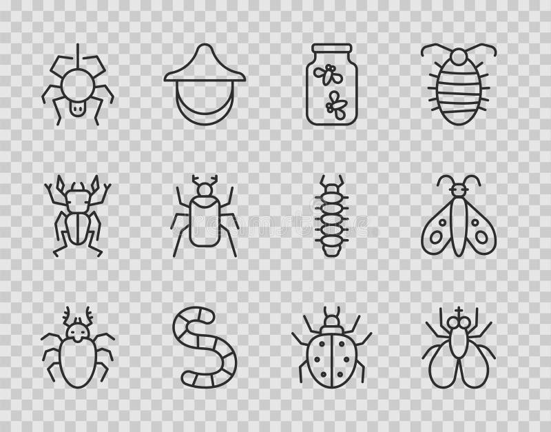 Set line beetbete de cerb insecte fly fireflies într-un borcan vierme spider mit și fluture pictogramă. vector vector illustration