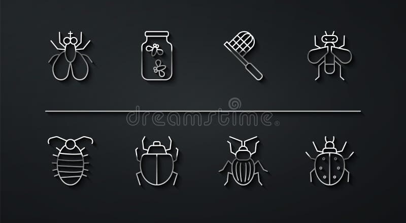 Set line insecte fly larva insecte chafer beeter bugs jar and butterfly net icon. vector vector illustration
