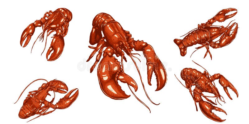 1,095 imágenes, fotos de stock, objetos en 3D y vectores sobre Hands  holding lobster